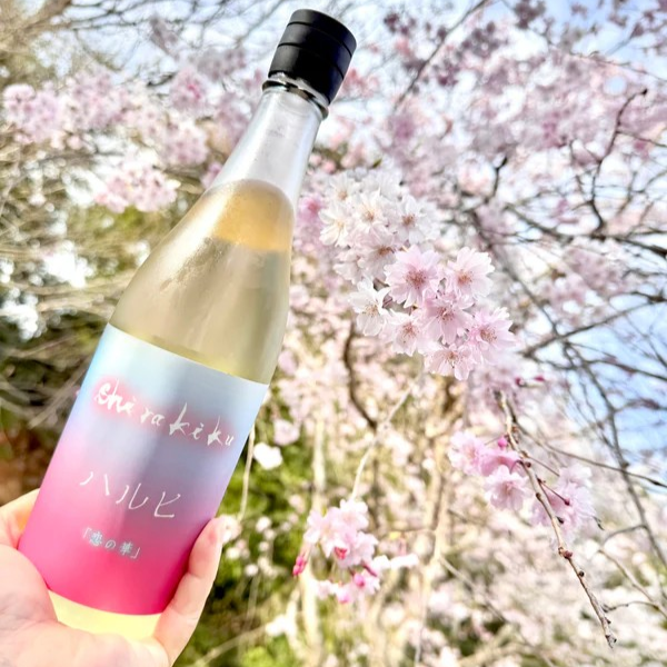 ハルヒ ～恋の華～